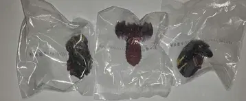 고질라 제일복권 E상 몬스터 헤드 마그넷 3종 세트