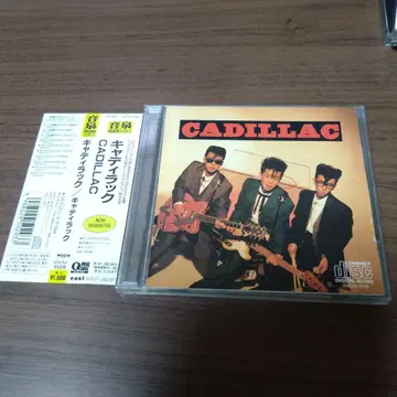 캐딜락 / CADILLAC