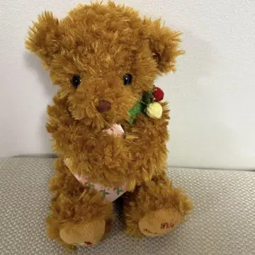 [ 새상품 ] 테이크오프 와일드 스트로베리 베어 테디베어 브라운 택 포함