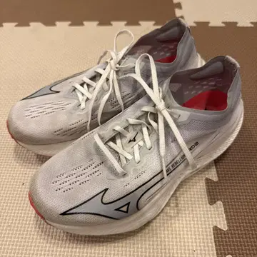 Mizuno WAVE REBELLION PRO2 25.0cm