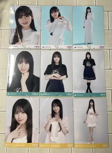 노기자카46 브로마이드 카와사키 벚꽃 3컴프 묶음 판매