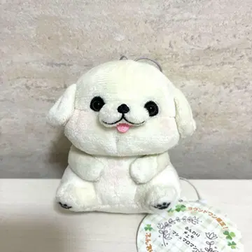 포근 퓨쿠페로 마스코트 페키니즈