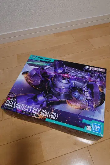 HG 지크 액스 릭 돔