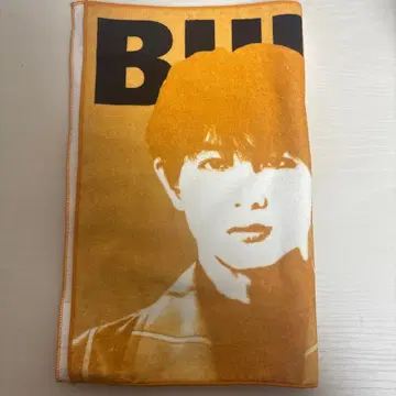 초특급 오다메 타월 하루