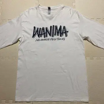 WANIMA NO IMAGE FELT THING 티셔츠 M