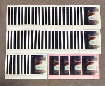 프로세카 5B 파샤코레 금박 시로이시 안