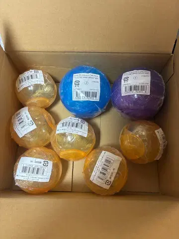 원피스 열매 'GRAND CAPSULE' 2종 + 제22해전 6종 컴프