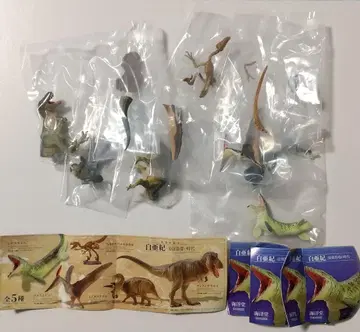 카이요도 캡슐Q 공룡발굴기 백악기 - 최강공룡의 시대 - 전 5종 세트