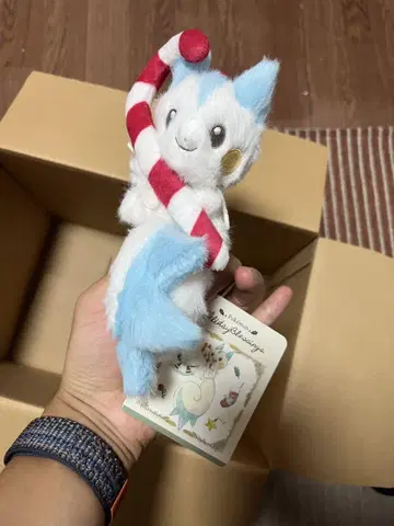 포켓몬 마스코트 Holiday Blessings 파치리스
