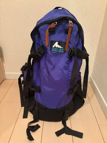 GREGORY 백팩 파란색 태그