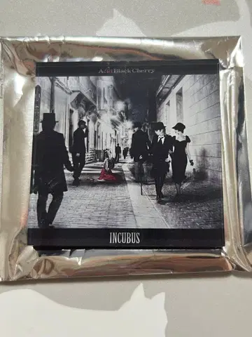 Acid Black Cherry 아크릴 마그넷 INCUBUS