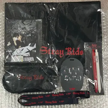 Stray Kids dominATE VIP 특전 세트