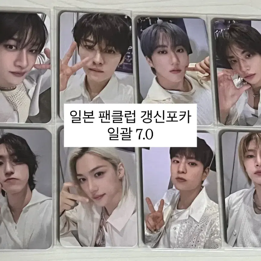 Skz Japan Fanclub Renewal Poca Bulk Angdo Japan Stay Kit