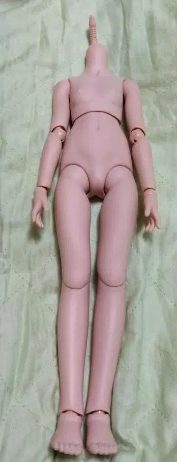 MDD 바디 프레쉬 스킨