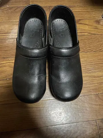 단스코 dansko 41 프로페셔널