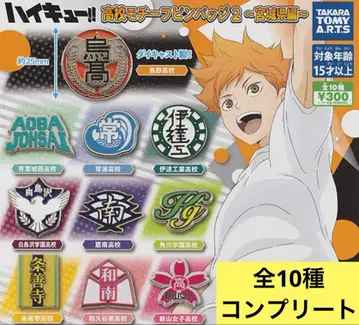 하이큐 고등학교 모티브 핀 배지 2 ~미야기현 편~ 전 10종 컴플리트