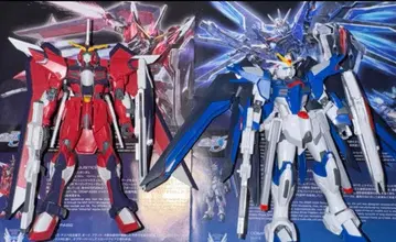 HG 라이징 프리덤 & 이모탈 저스티스 완성품