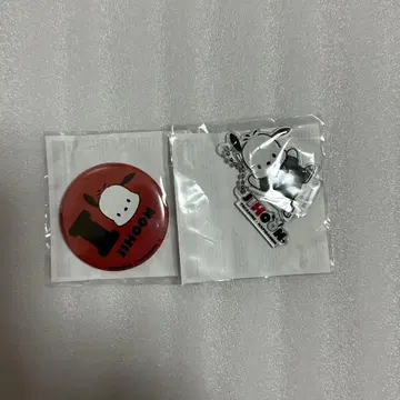 TREASURE 하피단부이 지훈