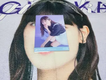 노기자카46 13주년 기념 오가와 아야 앉은 모습