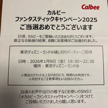도쿄 디즈니랜드 대관 2인분