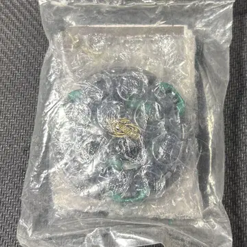 메탈 파이트 베이블레이드 대회 우승 경품 팡 레오네 건메탈 그린 Ver