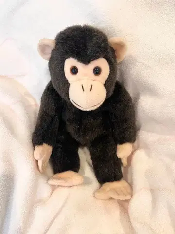 침팬지 봉제 인형