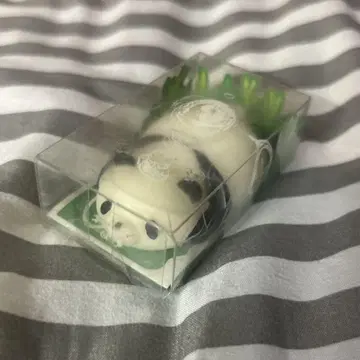우시히토 스퀴즈 팬더