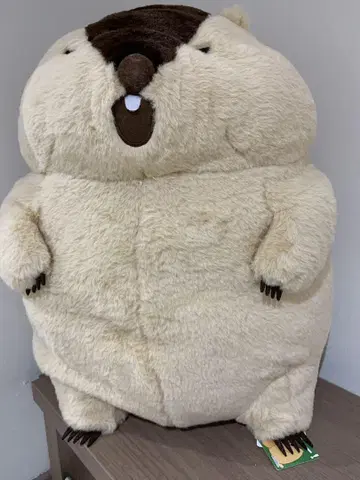 마모트의 모토토토 초 울트라 BIG 울트라 빅 봉제 인형