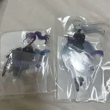 프로세카