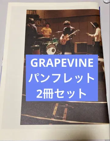 묶음 판매 GRAPEVINE 2016 팜플렛 lifetime