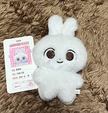 정한 봉제 인형