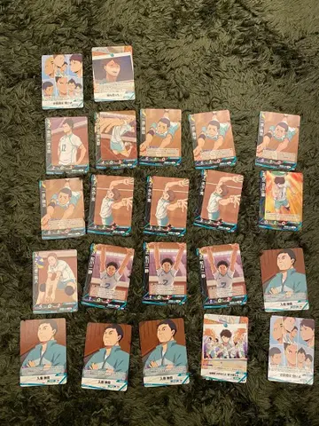 하이큐!! 바보카 아오바죠사이 고교