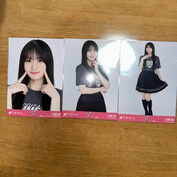 노기자카46 카와사키 벚꽃 컴프