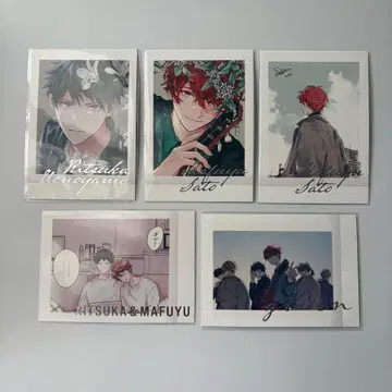 기븐 파샤코레 PREMIUM 컬러 마후유 릿카