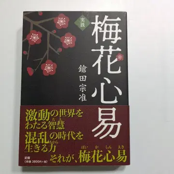 실천 매화심역