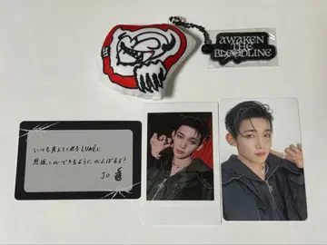AWAKEN THE BLOODLINE 키링 폴라로이드 카드 JO 세트