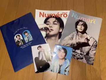 로운 세트