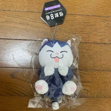 호시나 소우시로 봉제 인형 마스코트 호시나 고양이