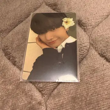 BOYNEXTDOOR 재현 weverse global 특전 트레이딩 카드