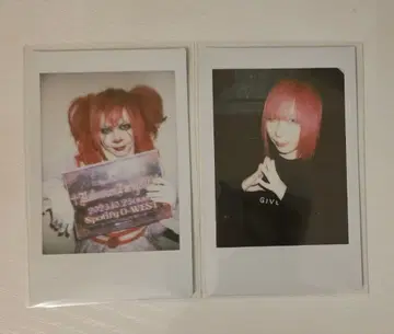 Royz 코다이 폴라로이드
