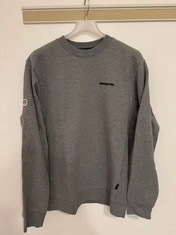 Patagonia 맨투맨 M
