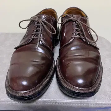 알든 alden 990 6/5D 11/3까지 가격 인하