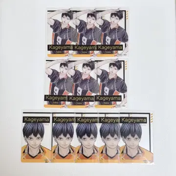 하이큐 팬파크 클리어 카드 카게야마