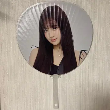 aespa 도쿄돔 부채 닝닝