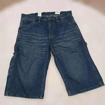 미사용 ) 32 LEE PAINTER