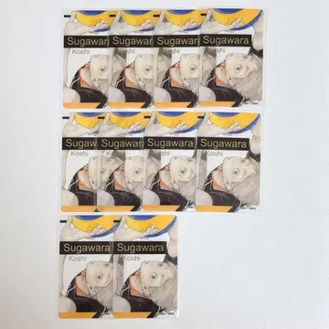 하이큐 팬파크 클리어 카드 스가와라