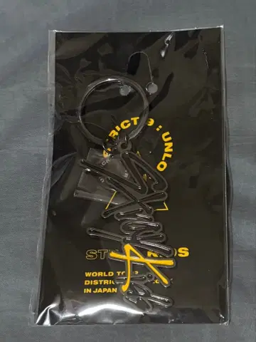 키링 StrayKids