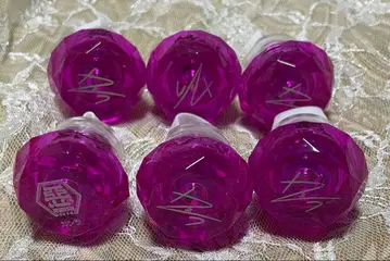 파라라이 이오리 린라이