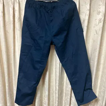 Dickies 네이비 워크 팬츠