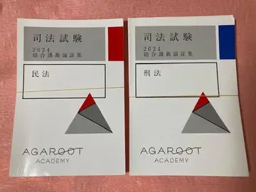 [재단 완료 2권 세트] 사법시험 2024 종합강의 논증집 민법 형법